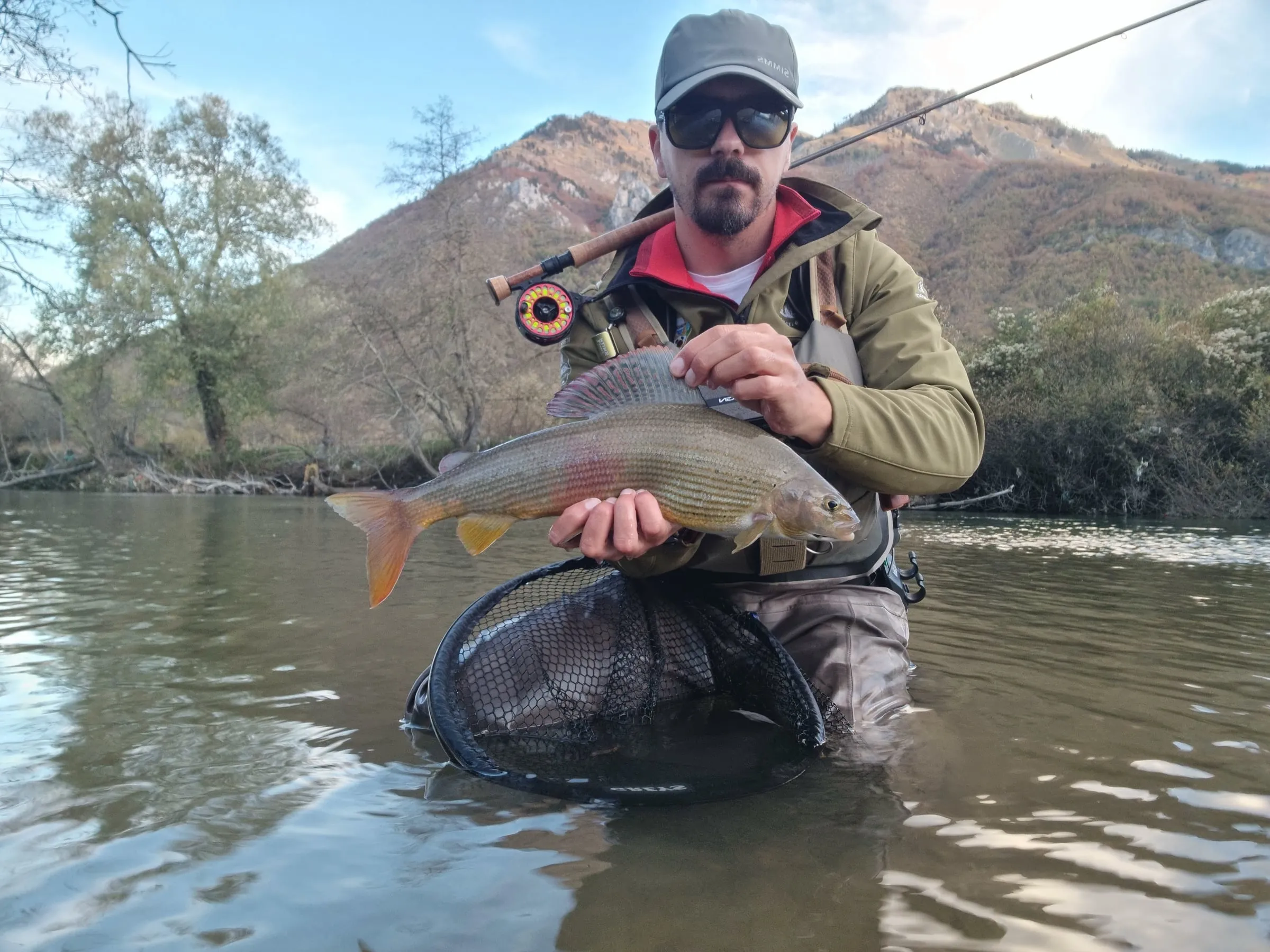 An angler kneeling in the Lim holding a grayling over a landing net, an autumn mountain behind.