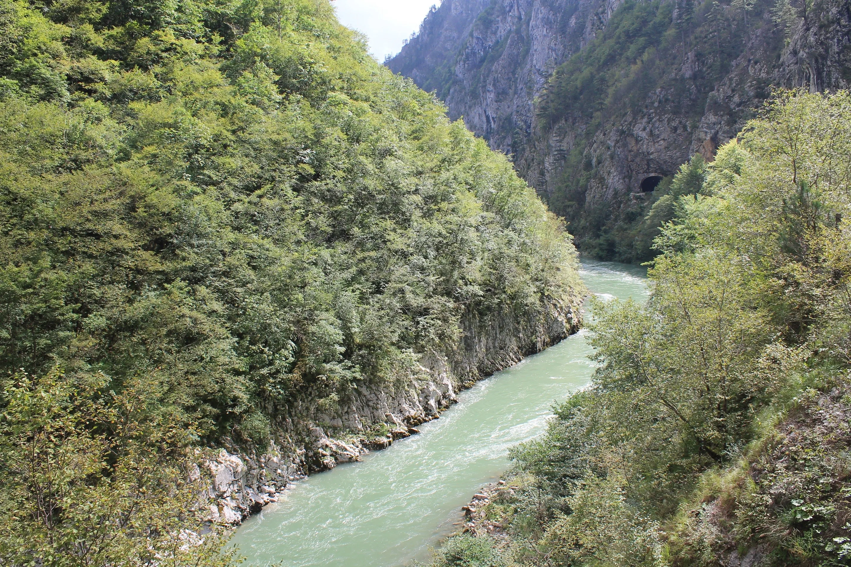 The Tara river running turquoise through a narrow, wooded limestone gorge, seen from above.